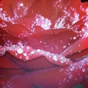 Tunjha Bell's photo