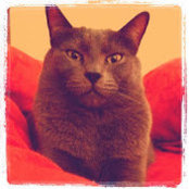 Jeff Cranmer's photo