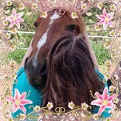 JoEllen Kimmelさんの写真