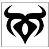 Ricki Stern's photo