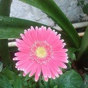 Eri Boz's photo