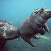 Kathryn Nockels's photo