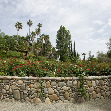 Henry Kroeger's Rose Garden