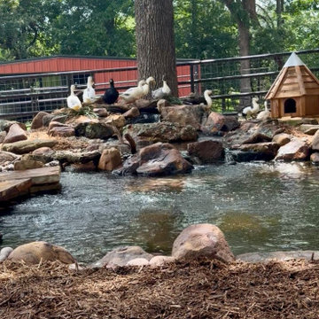 10x10 Duck Pond
