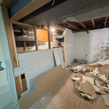 Somerdale, Basement Remodel