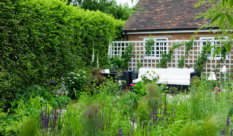 10 erreurs courantes de jardinage et nos conseils pour les éviter