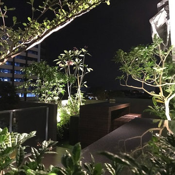 Penthouse garden