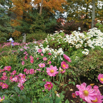 Perennial Gardens