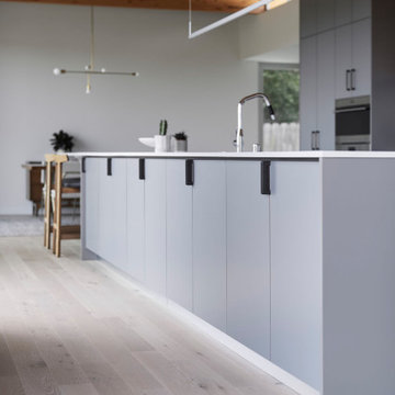 Mid-Century “Treehouse” Kitchen