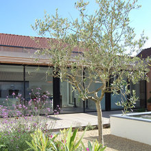 extension maison