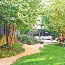 Landscape Ideas