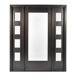 Modern Exterior Door C1-CS4-2 - Front Doors