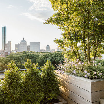 Urban Roof Terrace III