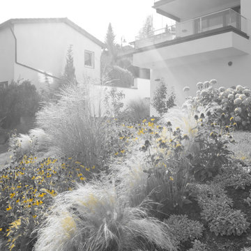 Bepflanzungskonzeption Privatgarten