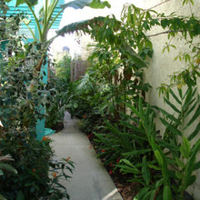 Tropical
