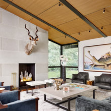 Living- couch, furnishings