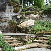 VT landscape ideas