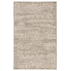 Jaipur Living Sian Knotted Floral Gray/Beige Area Rug, 6'x9'