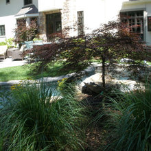Pool Landscaping