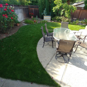Fescue Supreme