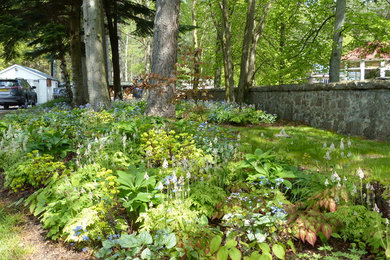 Inspiration for a medium sized contemporary front xeriscape fully shaded garden for spring in Other with a garden path.