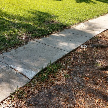 Sidewalk Replacement