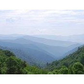 John Rumford's photo