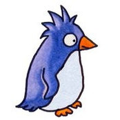shooskuas billede