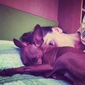 Foto von Debora Cappiello