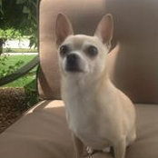 Sherri Colombo's photo