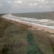 Joan Moore's photo