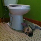 Jared Blais's photo