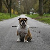 Foto von Kimi Dyring