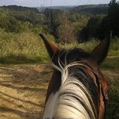 Heather Teels foto