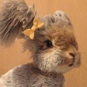 Bethany Davis's photo