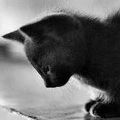Sheryl Cooper's photo