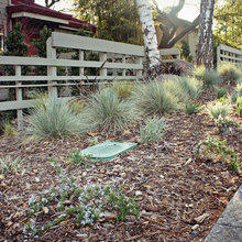 curbside landscape