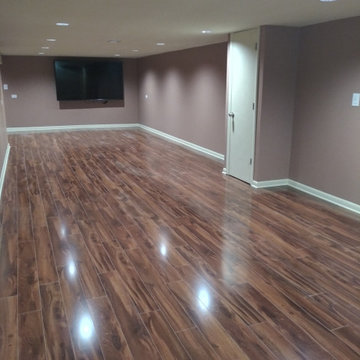 Mount Prospect Basement & Bathroom