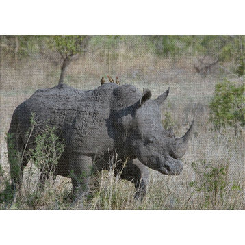 Rhino Area Rug, 5'0"x7'0"