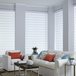 Allure&reg; Transitional Shades - Window Blinds