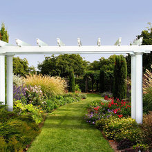 Landscaping ideas