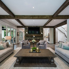 Living Room Ideas