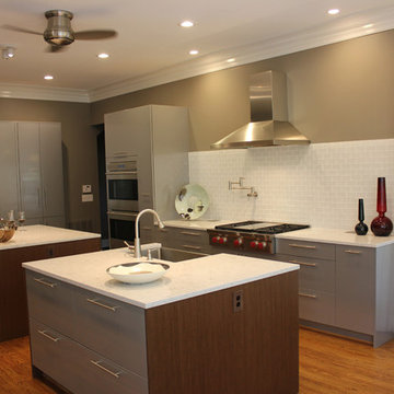 Contemporary Remodel