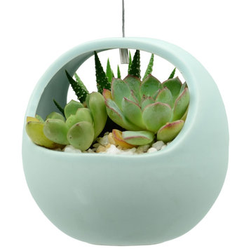 Ceramic Air Planter, Basket Style, 4.5x4.5", Mint