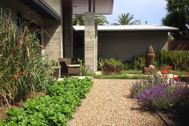 Photo of a mid-sized contemporary front yard full sun formal garden in San Diego with a garden path and gravel.