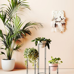 Halo Plant Stand | Ivy Muse - Plant Stands And Telephone Tables