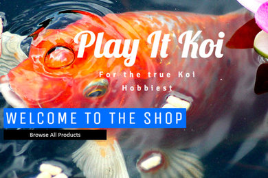 Play It Koi Photos