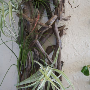 Private Residence, Lantana