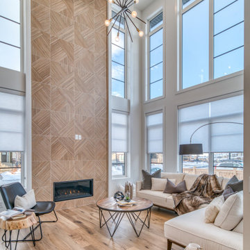 Aspen Vista