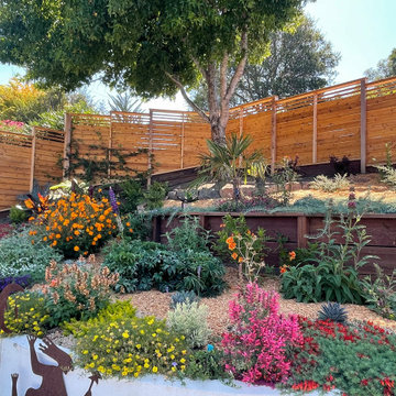 9 - Month Old Garden